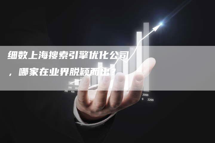 细数上海搜索引擎优化公司，哪家在业界脱颖而出？