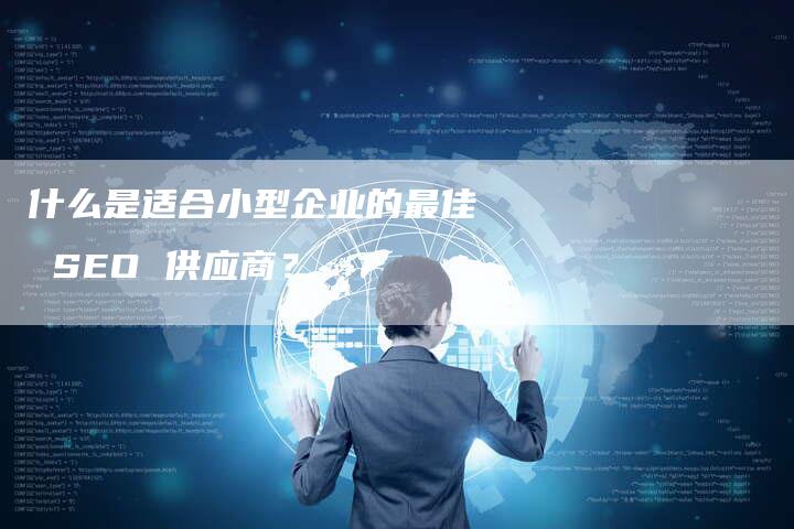 什么是适合小型企业的最佳 SEO 供应商？