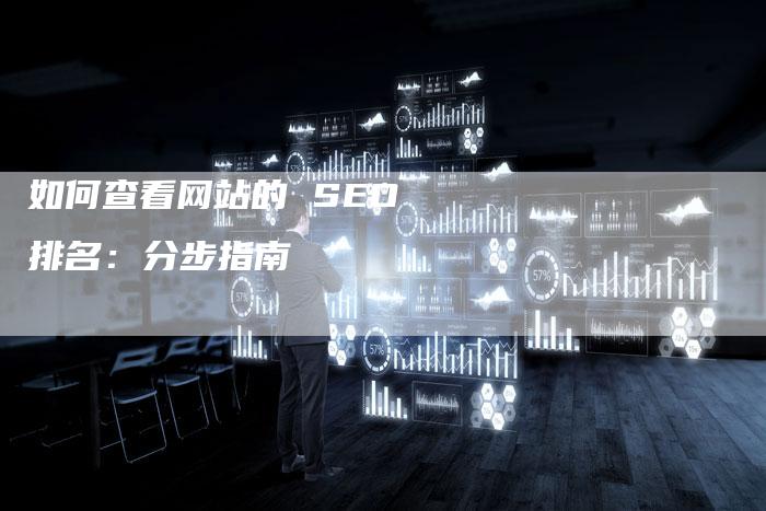 如何查看网站的 SEO 排名：分步指南