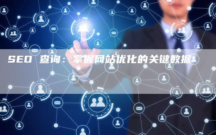 SEO 查询：掌握网站优化的关键数据