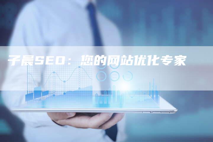 子晨SEO：您的网站优化专家