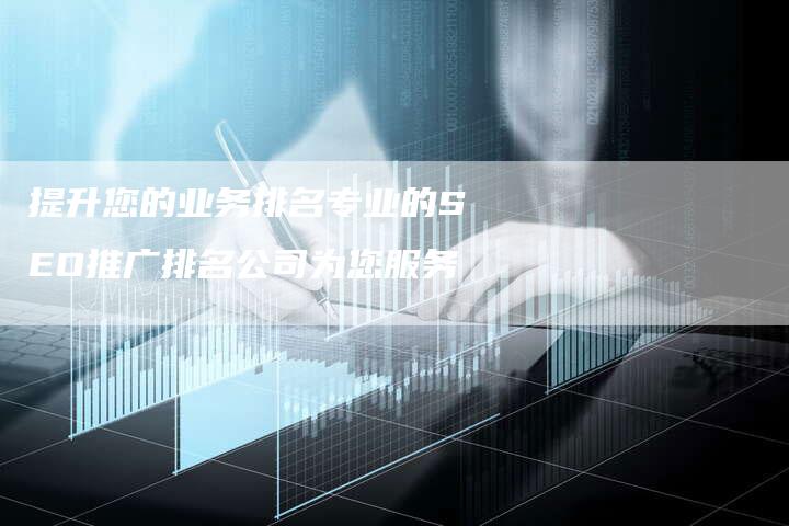 提升您的业务排名专业的SEO推广排名公司为您服务