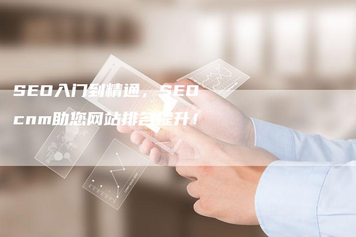 SEO入门到精通，SEOcnm助您网站排名提升！