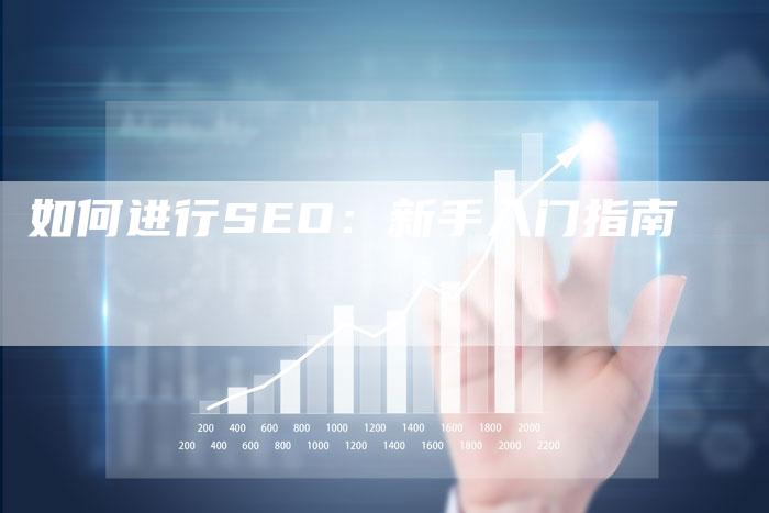 如何进行SEO：新手入门指南